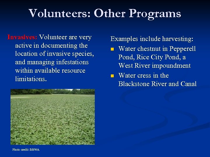 Volunteers: Other Programs Invasives: Volunteer are very active in documenting the location of invasive