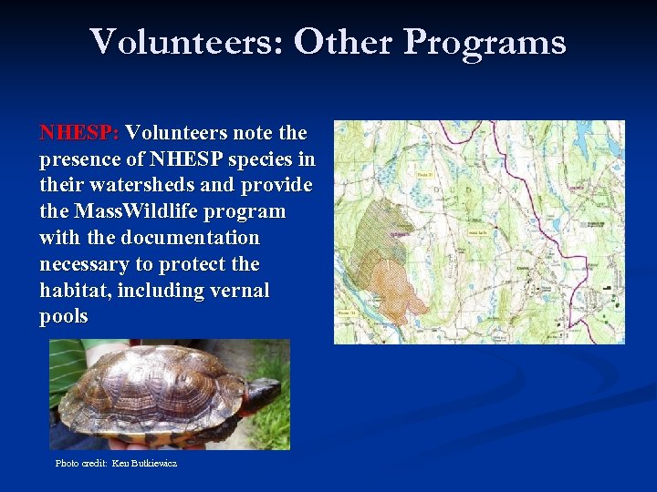 Volunteers: Other Programs NHESP: Volunteers note the presence of NHESP species in their watersheds