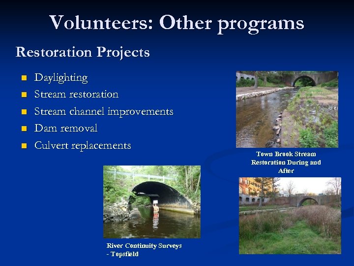 Volunteers: Other programs Restoration Projects n n n Daylighting Stream restoration Stream channel improvements