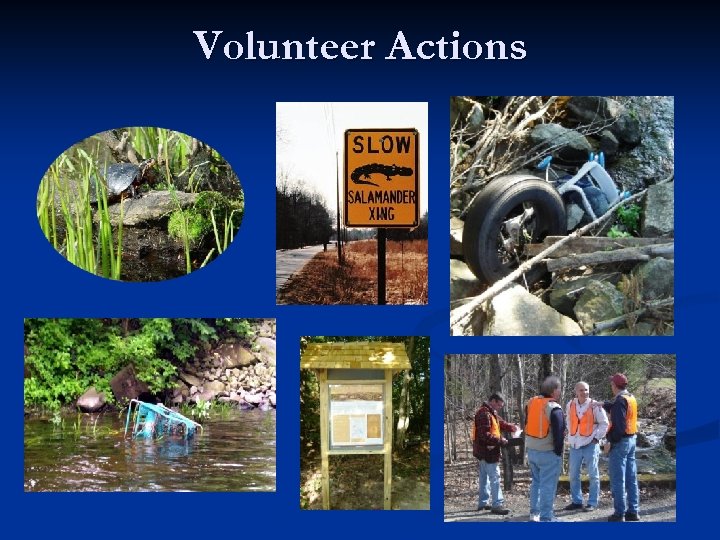 Volunteer Actions 