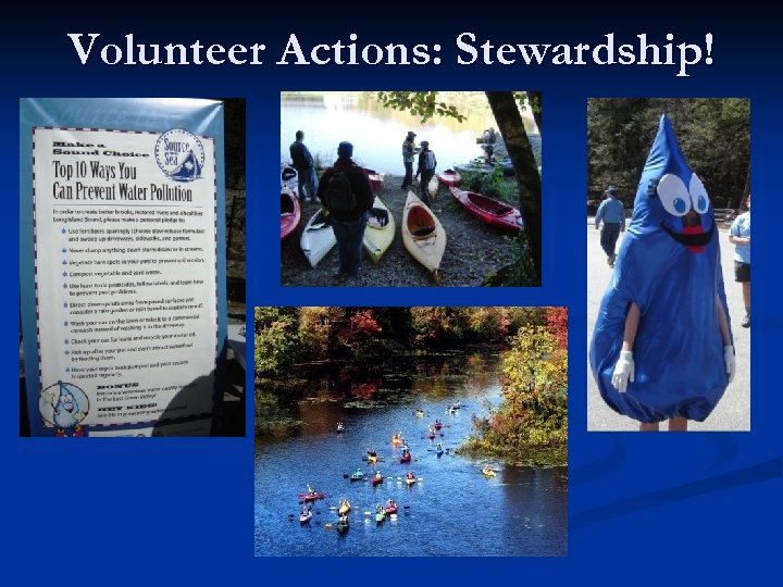 Volunteer Actions: Stewardship! 