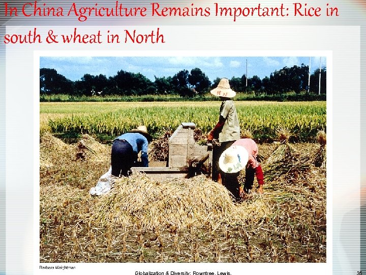 In China Agriculture Remains Important: Rice in south & wheat in North 