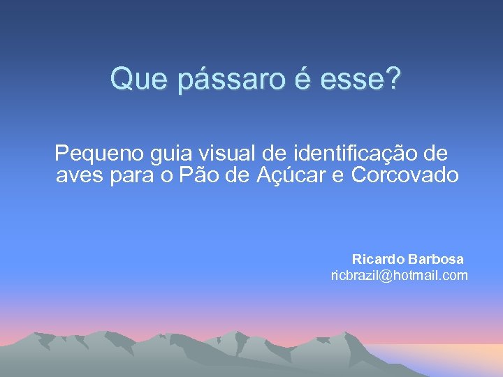 Que pássaro é esse? Pequeno guia visual de identificação de aves para o Pão