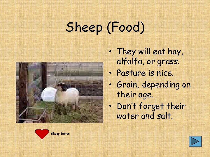 Sheep (Food) • They will eat hay, alfalfa, or grass. • Pasture is nice.