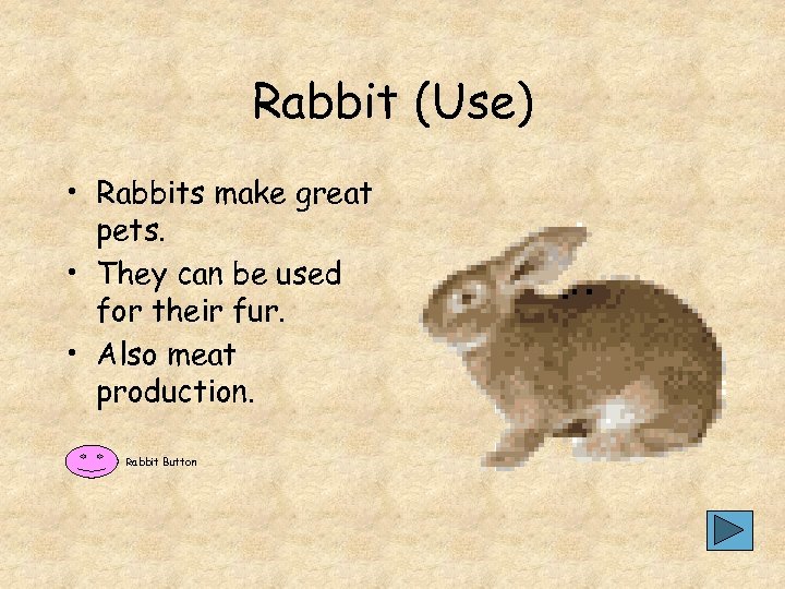 Rabbit (Use) • Rabbits make great pets. • They can be used for their