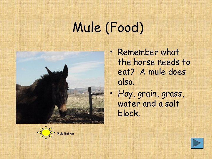 Mule (Food) • Remember what the horse needs to eat? A mule does also.