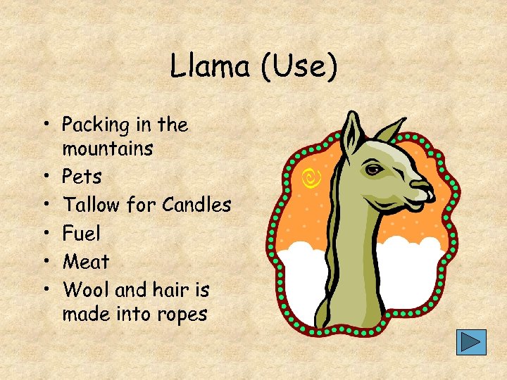 Llama (Use) • Packing in the mountains • Pets • Tallow for Candles •