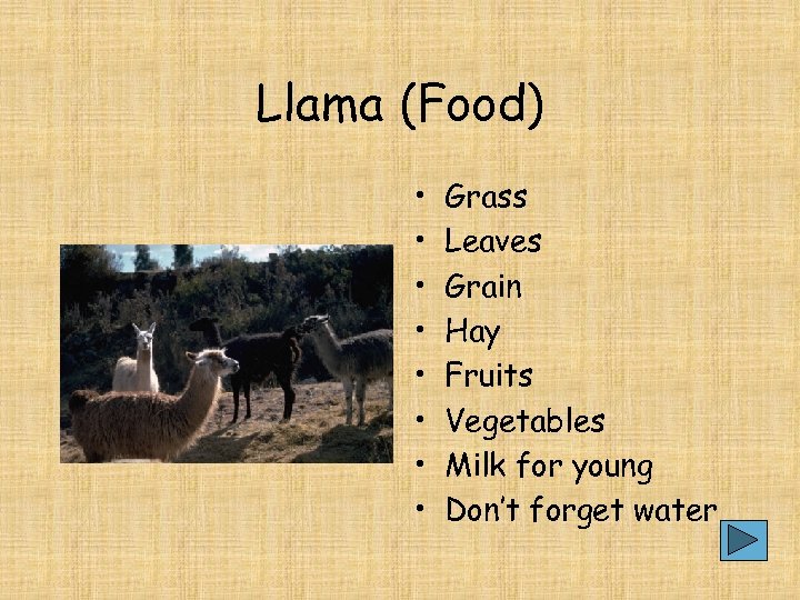 Llama (Food) • • Grass Leaves Grain Hay Fruits Vegetables Milk for young Don’t