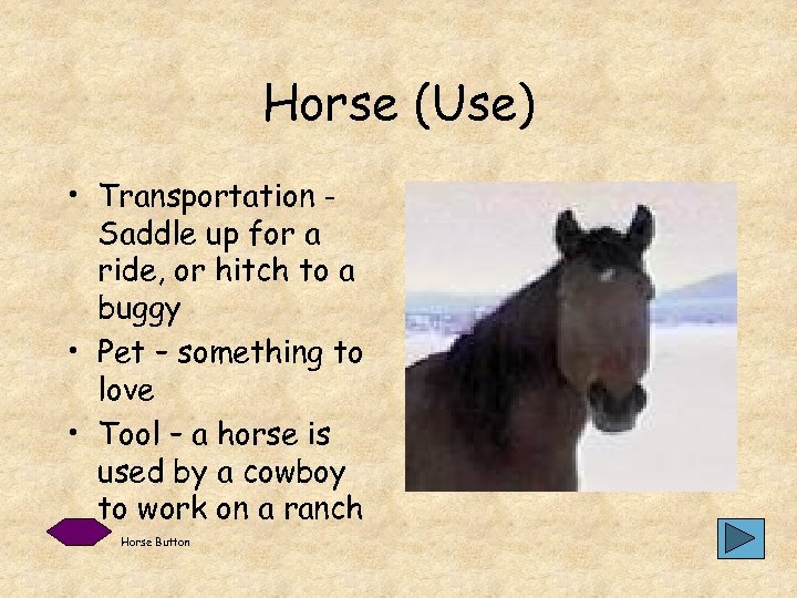 Horse (Use) • Transportation Saddle up for a ride, or hitch to a buggy