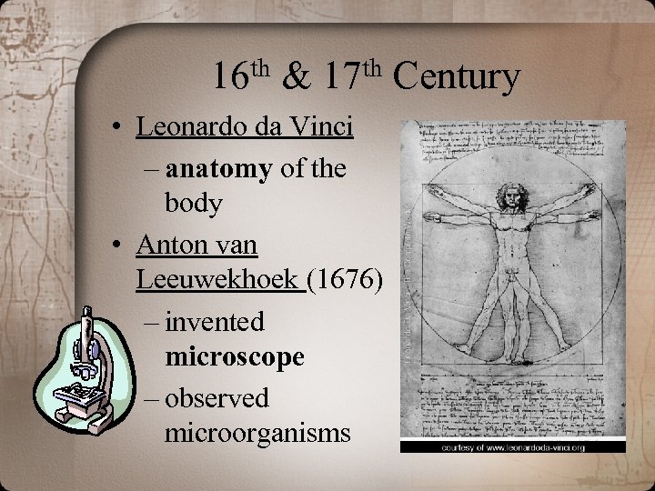 th 16 & th 17 • Leonardo da Vinci – anatomy of the body