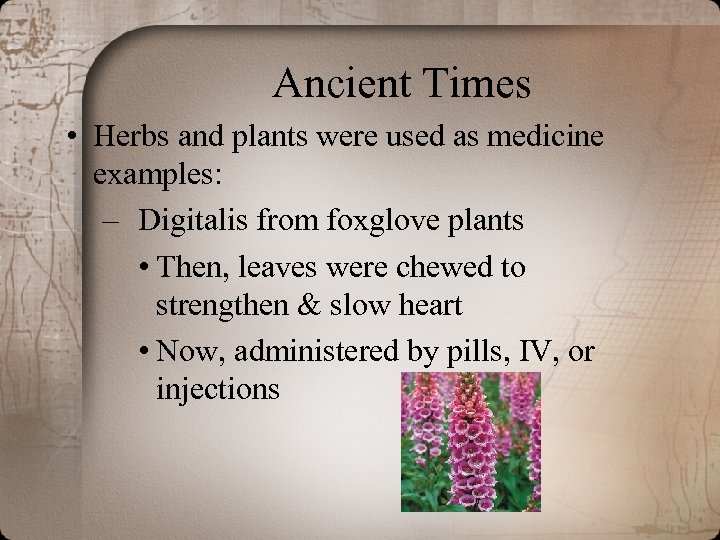 Ancient Times • Herbs and plants were used as medicine examples: – Digitalis from