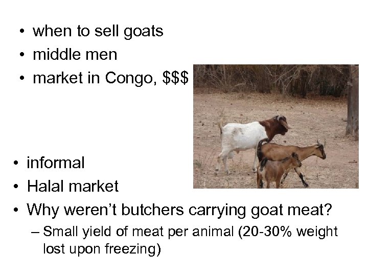 • when to sell goats • middle men • market in Congo, $$$