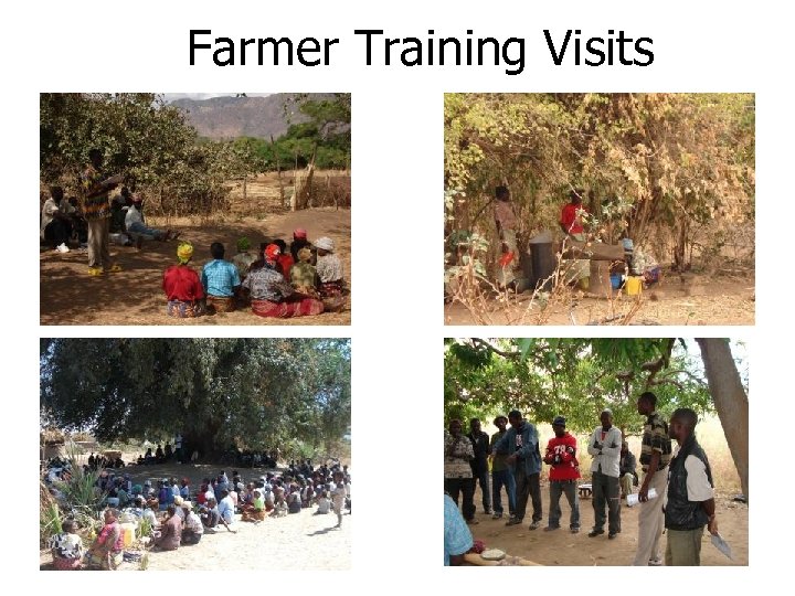 Farmer Training Visits 