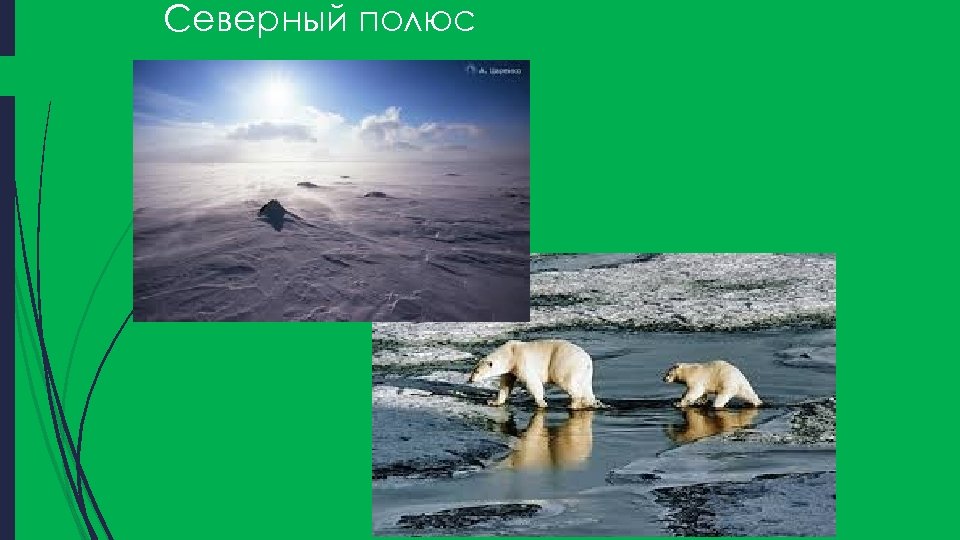 Северный полюс 