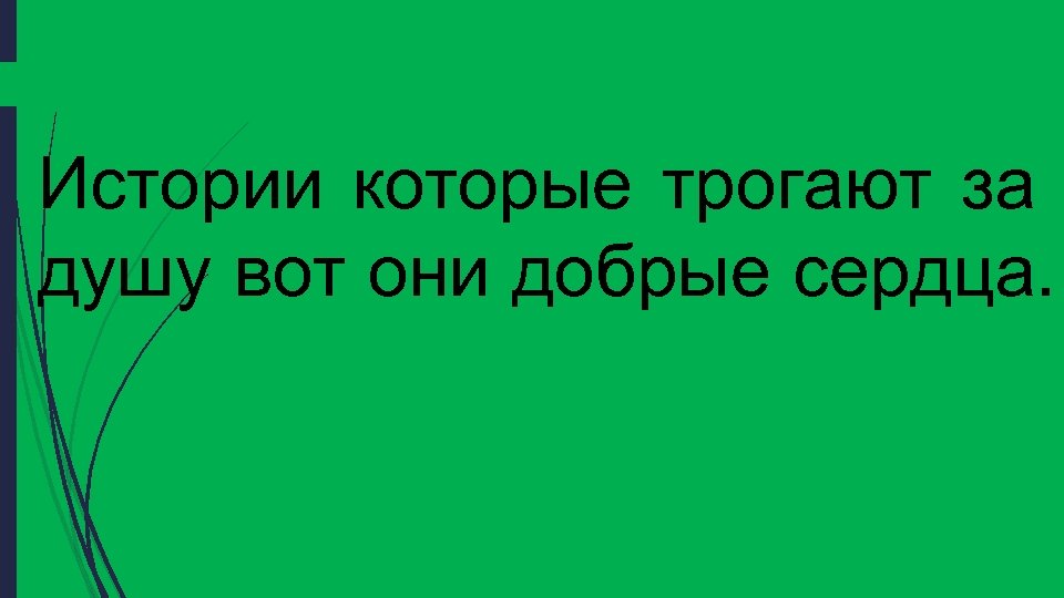 Истории которые трогают за душу вот они добрые сердца. 