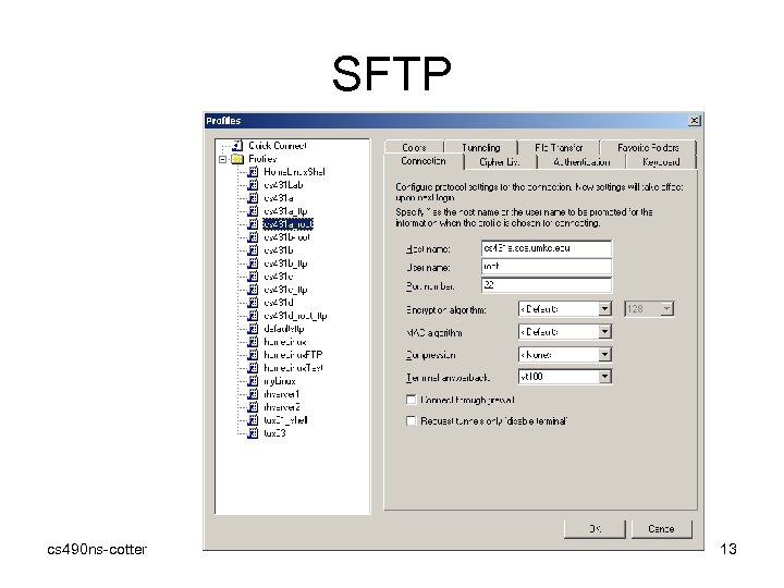 SFTP cs 490 ns-cotter 13 