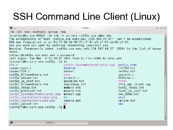 SSH Command Line Client (Linux) cs 490 ns-cotter 6 