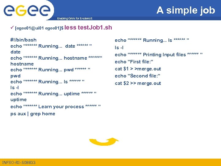 A simple job Enabling Grids for E-scienc. E [egee 01@ui 01 egee 01]$ less