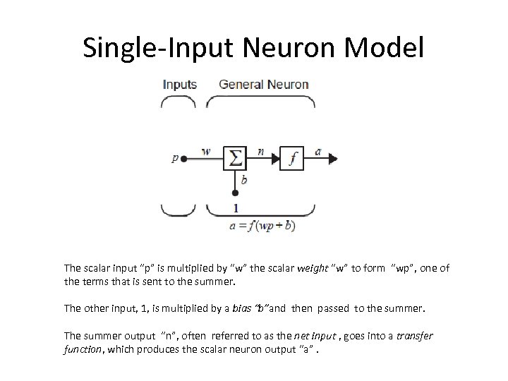 Single-Input Neuron Model The scalar input “p” is multiplied by “w” the scalar weight