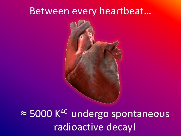 Between every heartbeat… ≈ 5000 K 40 undergo spontaneous radioactive decay! 