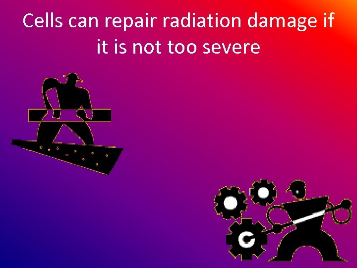 Cells can repair radiation damage if it is not too severe 