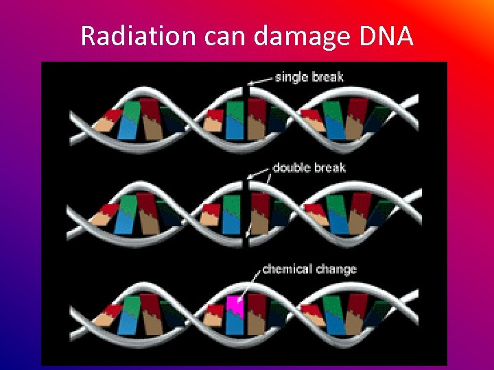 Radiation can damage DNA 