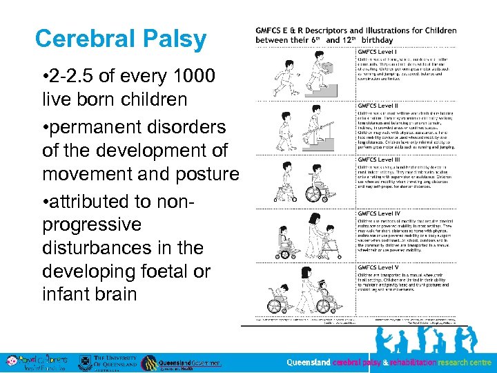 Cerebral Palsy • 2 -2. 5 of every 1000 live born children • permanent
