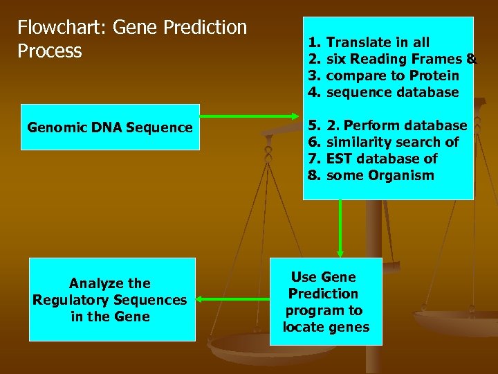 Flowchart: Gene Prediction Process Genomic DNA Sequence Analyze the Regulatory Sequences in the Gene