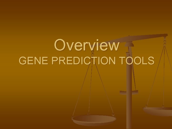 Overview GENE PREDICTION TOOLS 