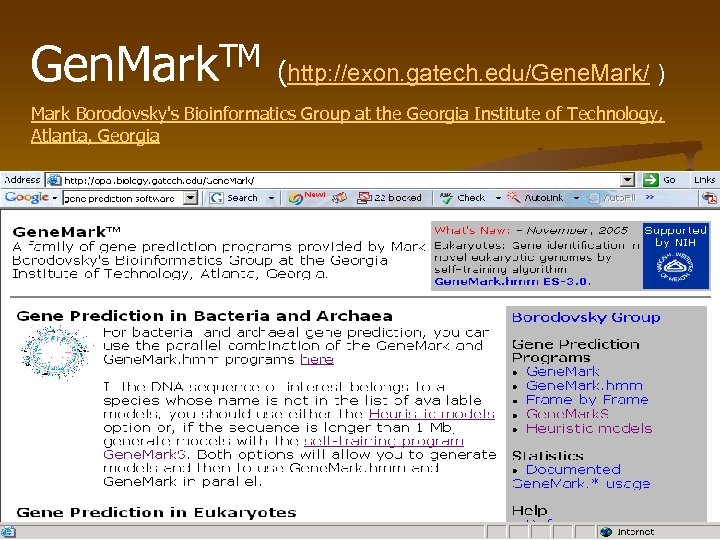 TM (http: //exon. gatech. edu/Gene. Mark/ ) Gen. Mark Borodovsky's Bioinformatics Group at the