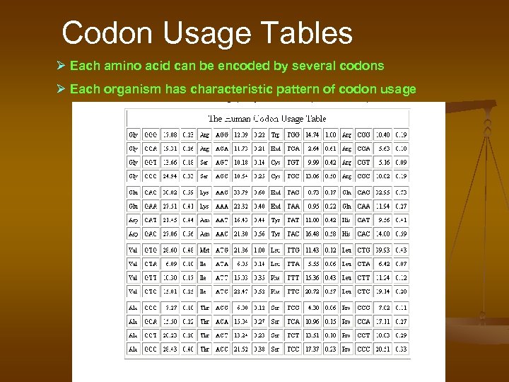 Codon Usage Tables Ø Each amino acid can be encoded by several codons Ø