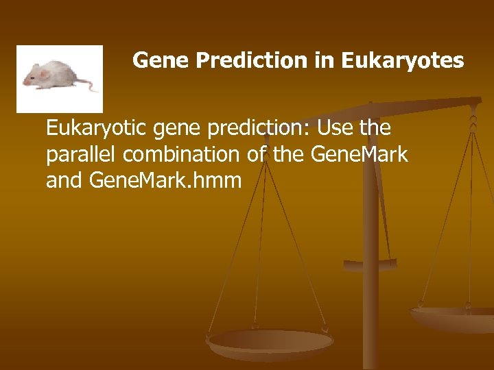 Gene Prediction in Eukaryotes Eukaryotic gene prediction: Use the parallel combination of the Gene.