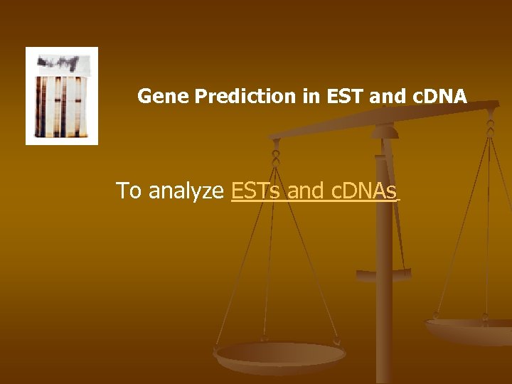 Gene Prediction in EST and c. DNA To analyze ESTs and c. DNAs 