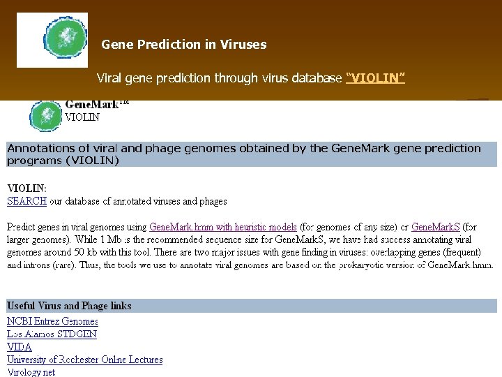 Gene Prediction in Viruses Viral gene prediction through virus database “VIOLIN” 