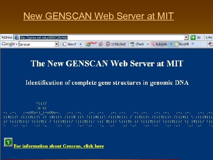 New GENSCAN Web Server at MIT 