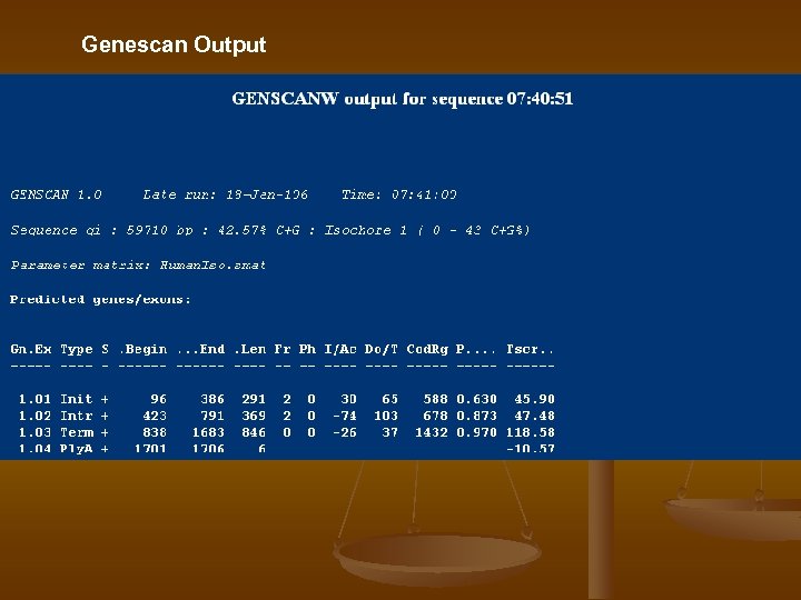 Genescan Output 