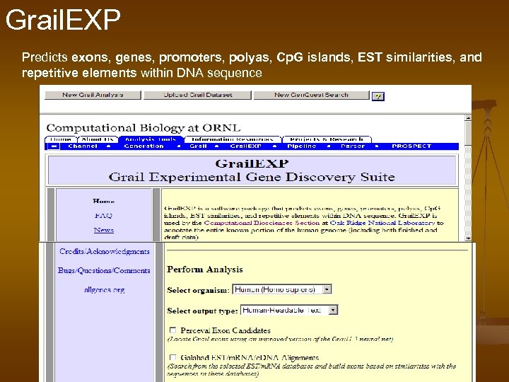 Grail. EXP Predicts exons, genes, promoters, polyas, Cp. G islands, EST similarities, and repetitive