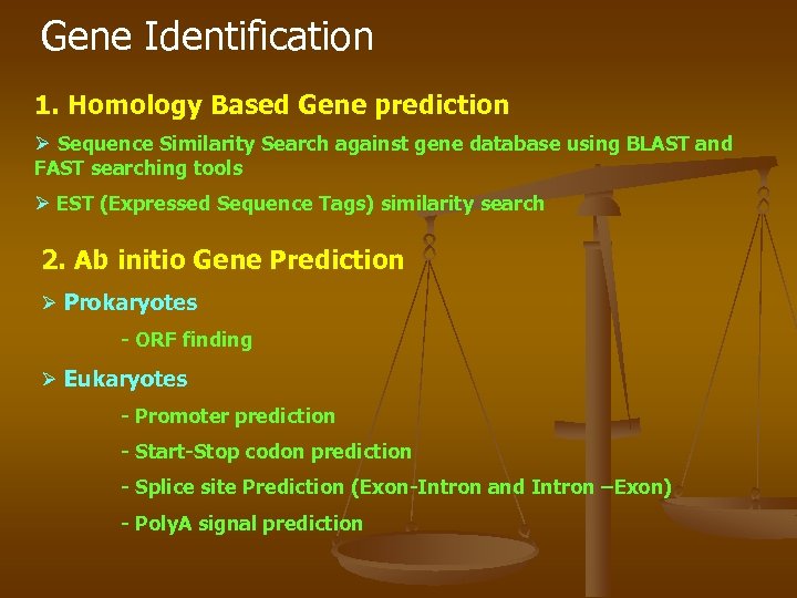 Gene Identification 1. Homology Based Gene prediction Ø Sequence Similarity Search against gene database