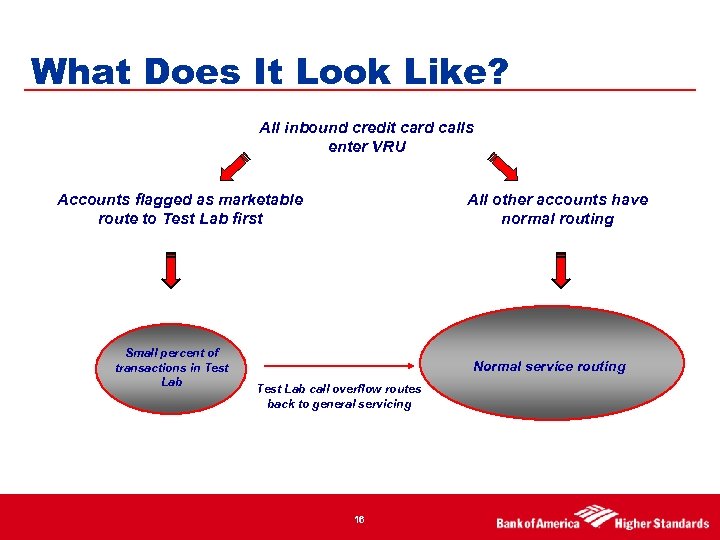 What Does It Look Like? All inbound credit card calls enter VRU Accounts flagged