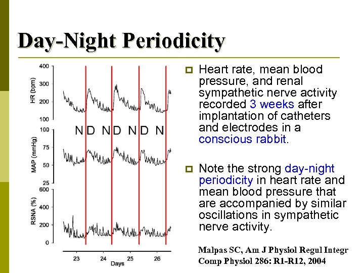 Day-Night Periodicity p Heart rate, mean blood pressure, and renal sympathetic nerve activity recorded