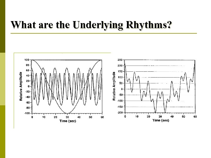 What are the Underlying Rhythms? 