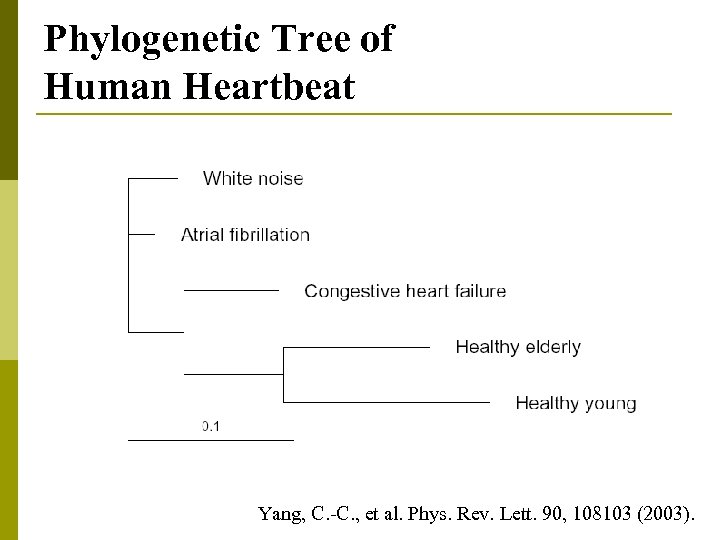 Phylogenetic Tree of Human Heartbeat Yang, C. -C. , et al. Phys. Rev. Lett.