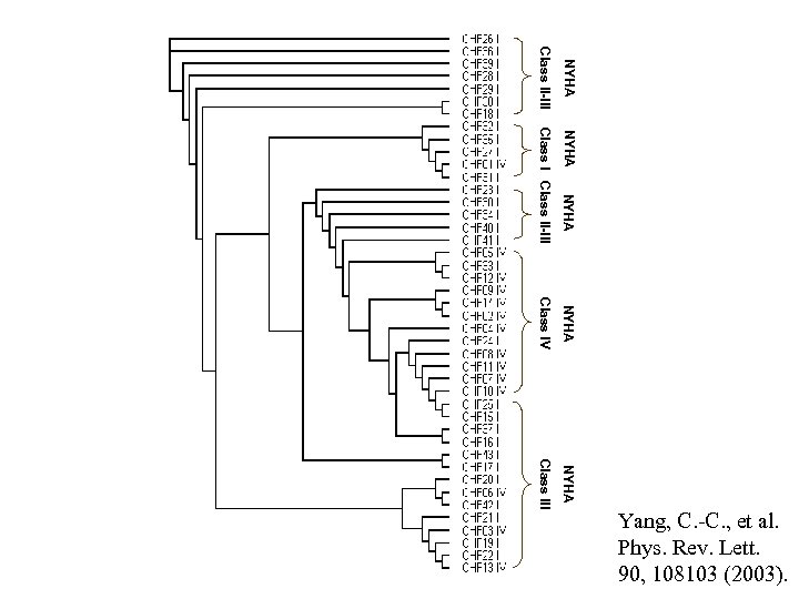 NYHA Class II-III Class IV NYHA Class III NYHA Yang, C. -C. , et