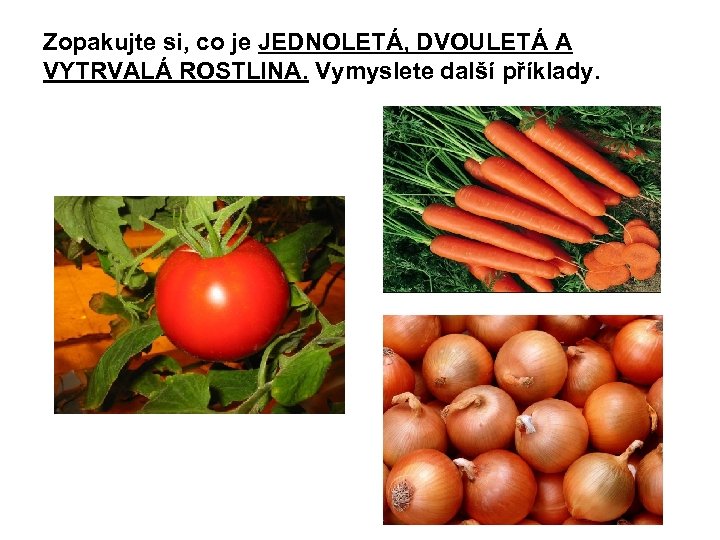 Zopakujte si, co je JEDNOLETÁ, DVOULETÁ A VYTRVALÁ ROSTLINA. Vymyslete další příklady. 