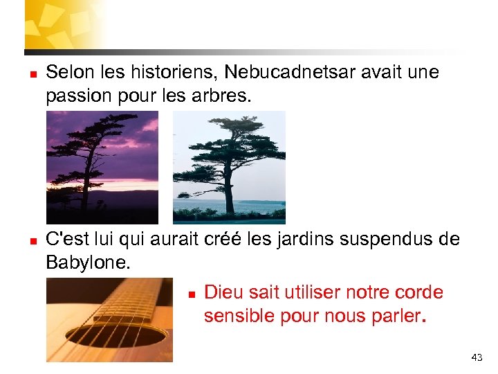 n n Selon les historiens, Nebucadnetsar avait une passion pour les arbres. C'est lui