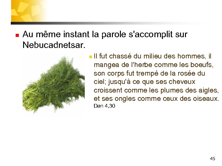n Au même instant la parole s'accomplit sur Nebucadnetsar. n Il fut chassé du