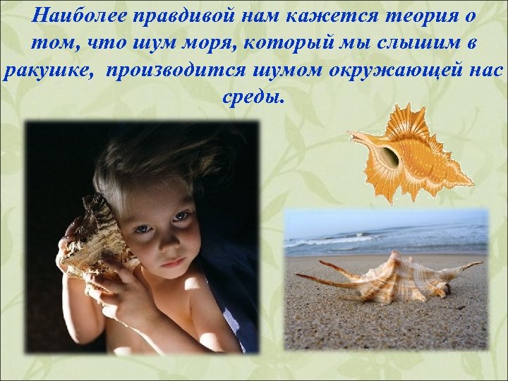 Наиболее правдивой нам кажется теория о том, что шум моря, который мы слышим в