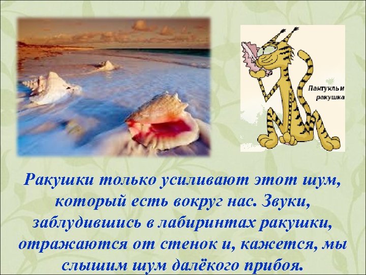 Ракушки только усиливают этот шум, который есть вокруг нас. Звуки, заблудившись в лабиринтах ракушки,