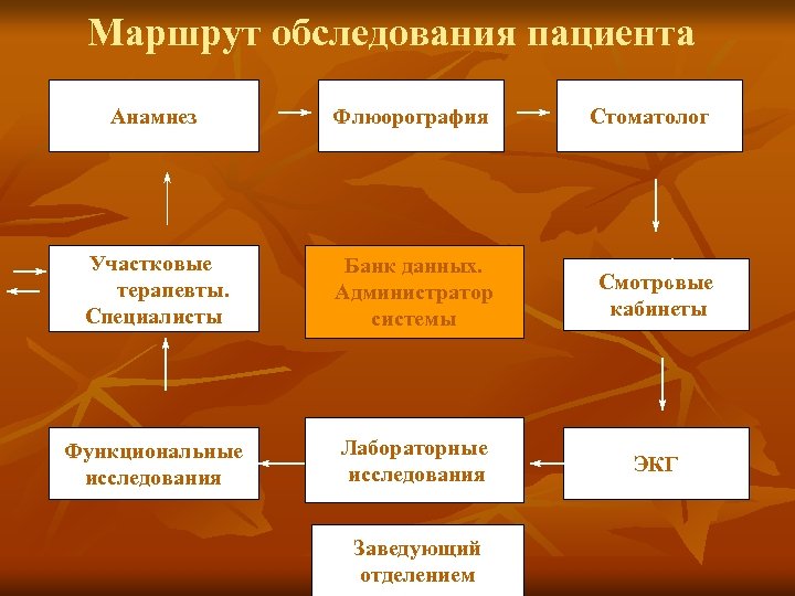 Маршрут обследования пациента Анамнез Флюорография Стоматолог Участковые терапевты. Специалисты Банк данных. Администратор системы Смотровые