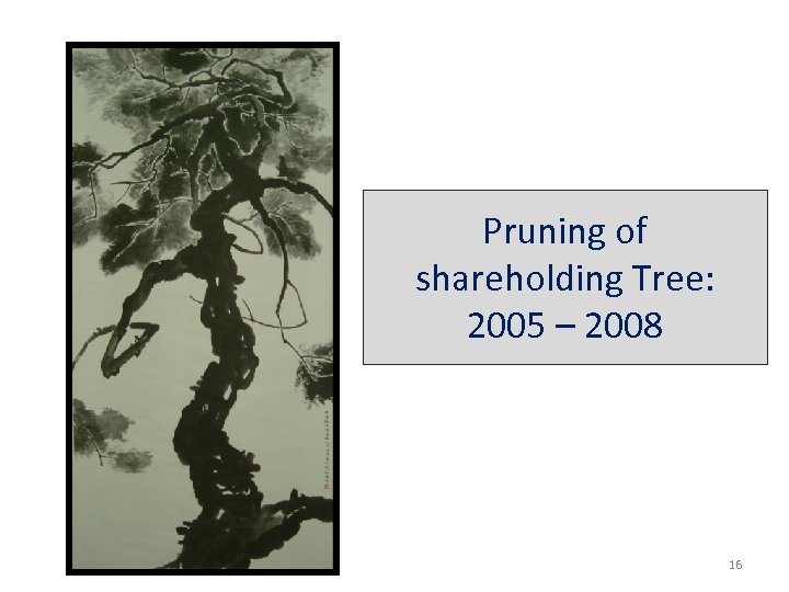 Pruning of shareholding Tree: 2005 – 2008 16 